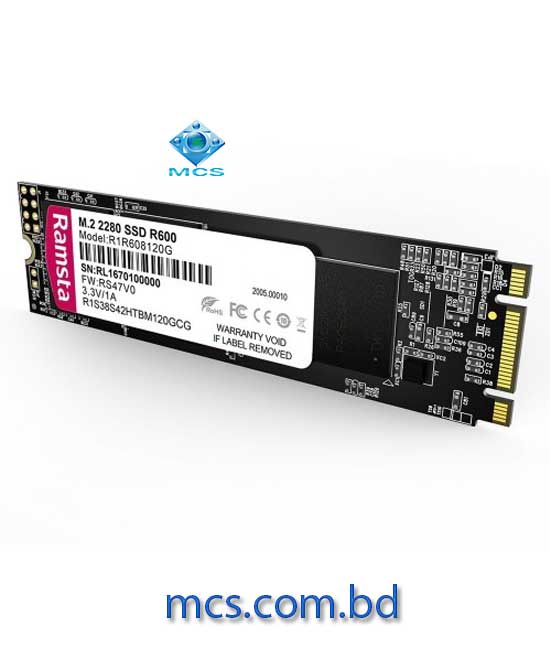 RAMSTA R600 128GB M.2 2280 SSD Solid State Drive